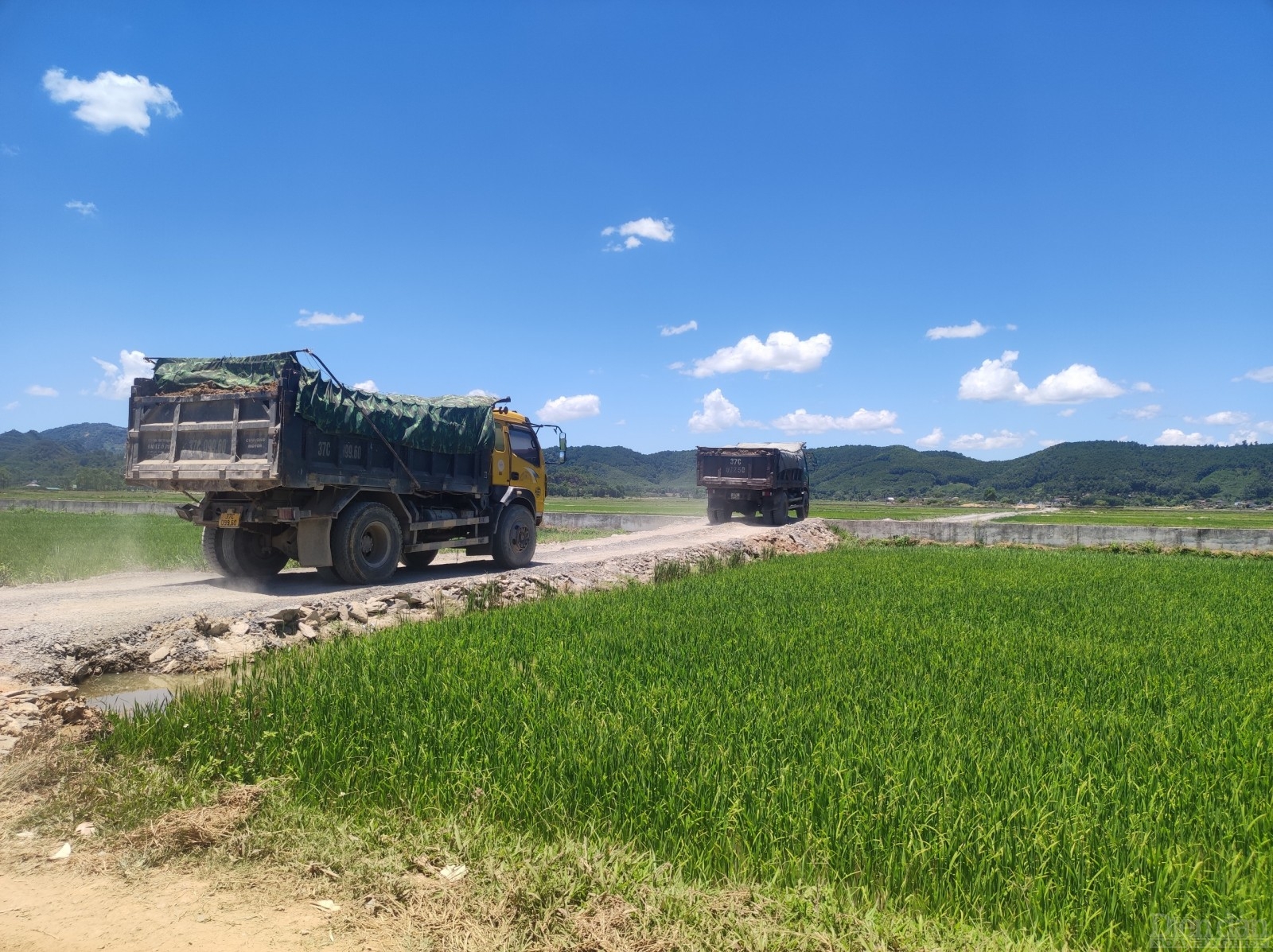 Loạt xe tải trọng lớn chở đất “đại náo” vùng quê ở Nghệ An Loạt xe tải trọng lớn chở đất “đại náo” vùng quê ở Nghệ An