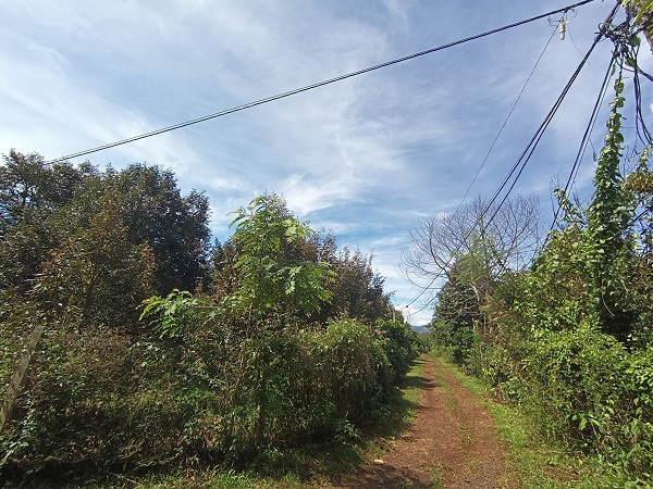 Đắk Lắk: Nghi vấn mua bán mã vùng trồng sầu riêng để trục lợi Đắk Lắk: Nghi vấn mua bán mã vùng trồng sầu riêng để trục lợi