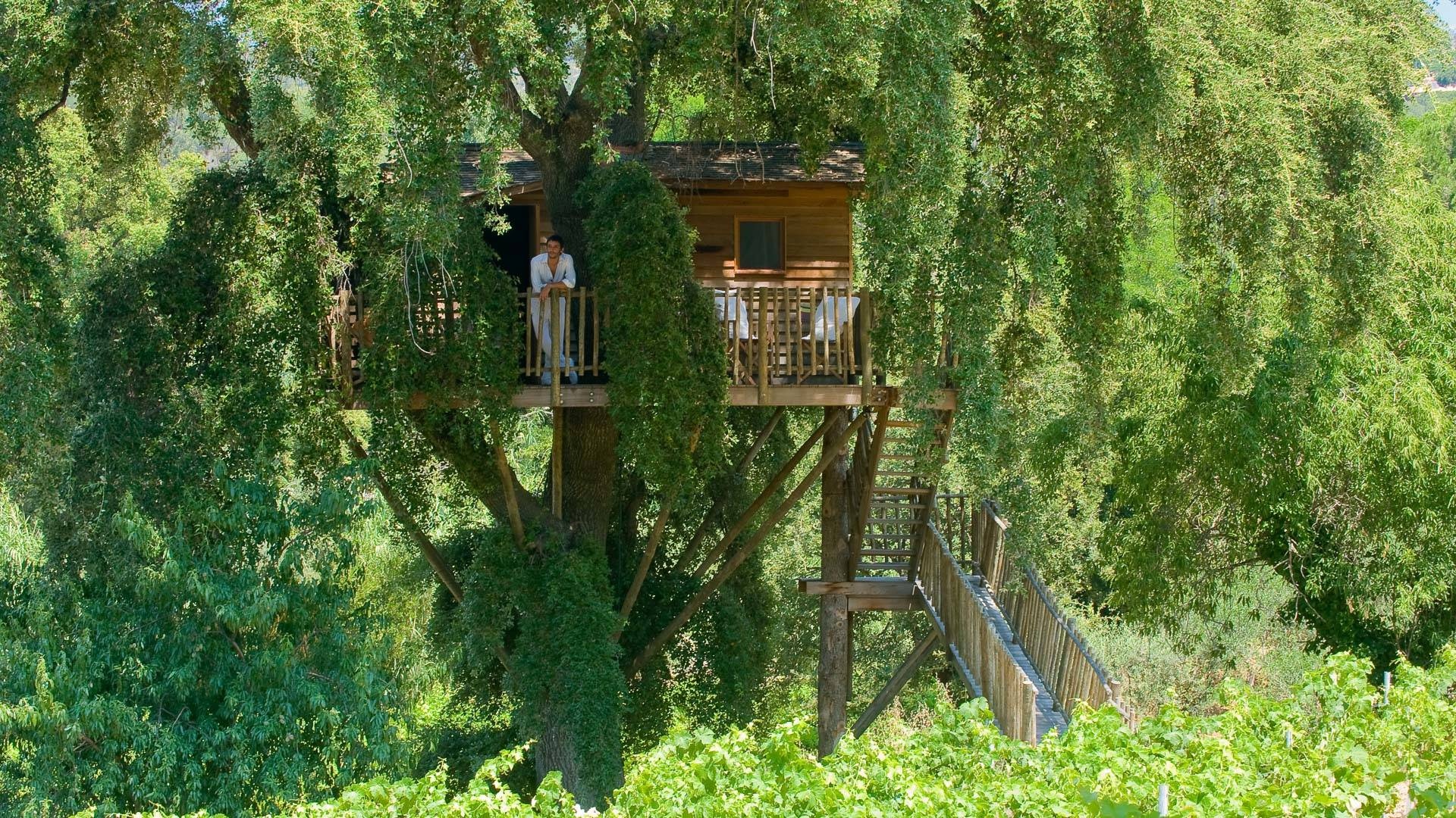 7 khách sạn lâu đài cạnh vườn nho ở Pháp