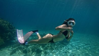 Du lịch kết hợp lặn tự do hút khách mùa hè