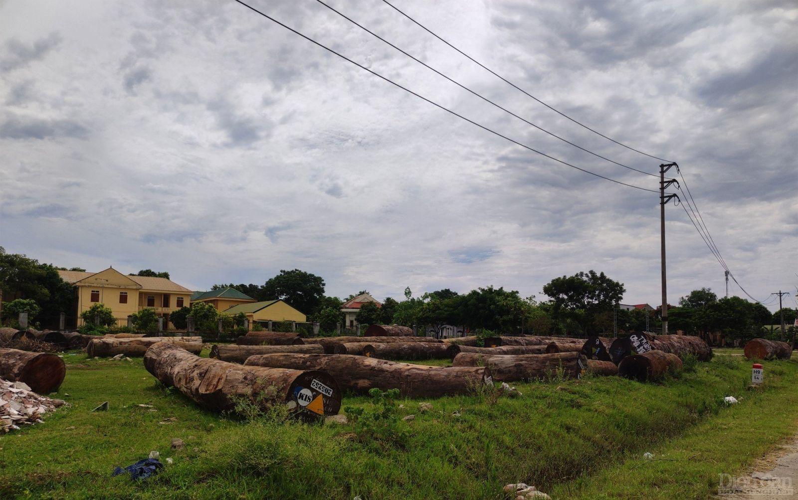 Nghệ An: Ô nhiễm, mất mỹ quan trước Khu lưu niệm cụ Phan Bội Châu