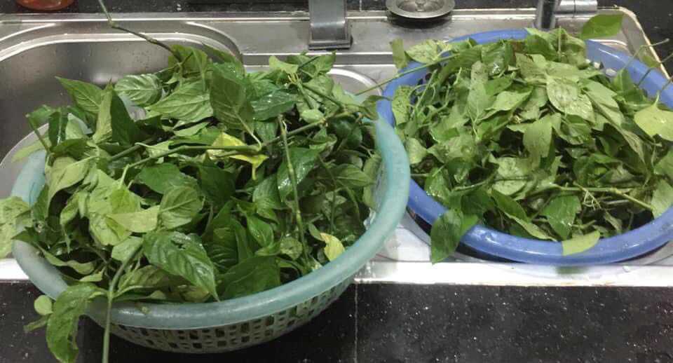 Về Tây Bắc theo chân mùa Lễ hội Pay Tái