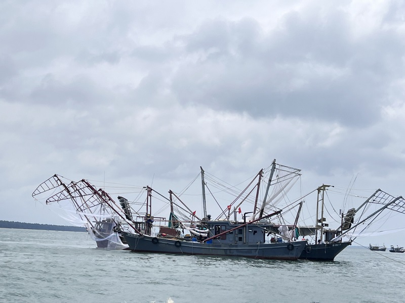 Quảng Ninh: Xử lý nghiêm các hành vi khai thác thủy sản bất hợp pháp