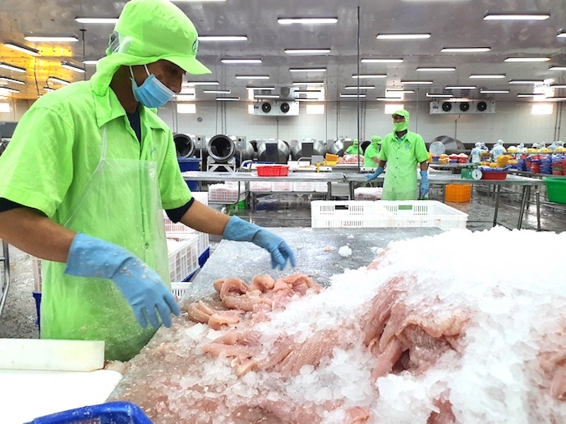 Doanh nghiệp cá tra “vượt sóng”