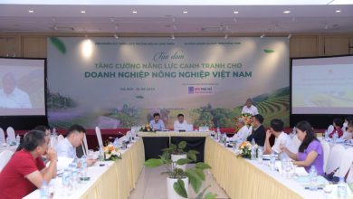 Giải pháp tăng cường năng lực cạnh tranh cho doanh nghiệp nông nghiệp Việt Nam Giải pháp tăng cường năng lực cạnh tranh cho doanh nghiệp nông nghiệp Việt Nam