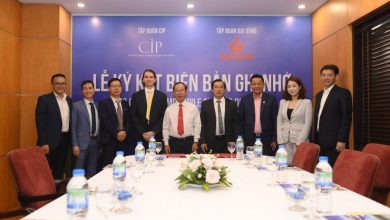 Tập đoàn CIP phát triển chuỗi cung ứng nội địa trong lĩnh vực điện gió ngoài khơi tại Việt Nam