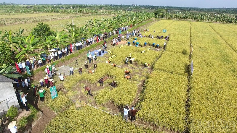 Hải Dương: Khai thác giá trị văn hóa phục vụ phát triển du lịch