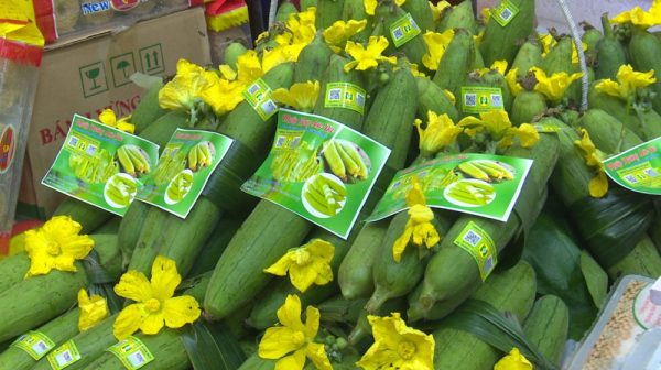 ĐÔNG ANH PHÁT HUY GIÁ TRỊ LÀNG NGHỀ TRONG XÂY DỰNG NÔNG THÔN MỚI ĐÔNG ANH PHÁT HUY GIÁ TRỊ LÀNG NGHỀ TRONG XÂY DỰNG NÔNG THÔN MỚI
