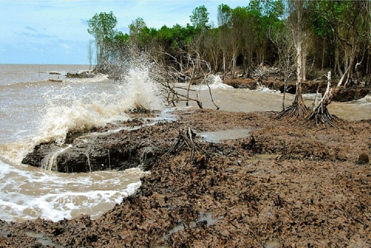 Việt Nam cần hơn 700 tỷ USD xử lý thách thức chuyển đổi xanh Việt Nam cần hơn 700 tỷ USD xử lý thách thức chuyển đổi xanh