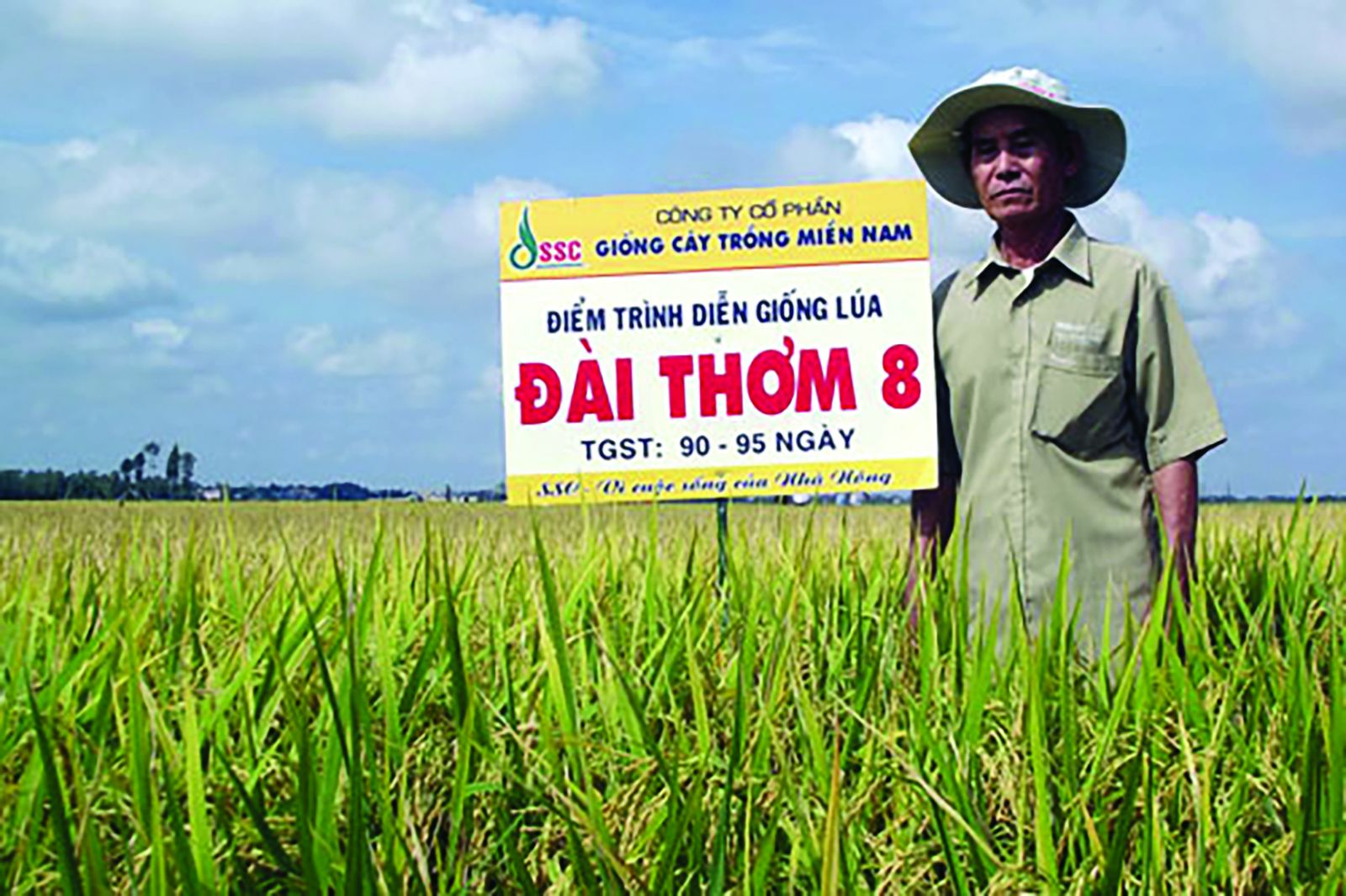 Bảo hộ giống cây trồng Việt Nam vẫn còn hạn chế Bảo hộ giống cây trồng Việt Nam vẫn còn hạn chế