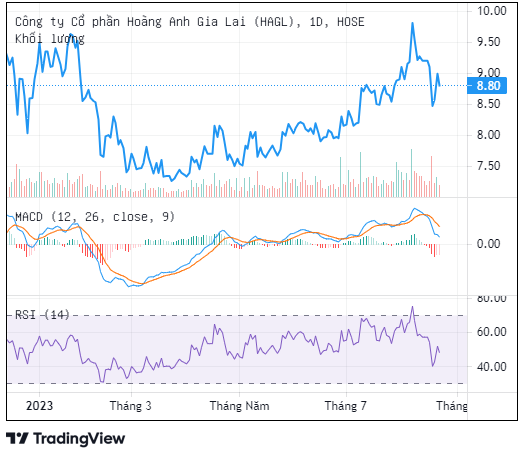 HAG trầy trật kế hoạch chào bán cổ phiếu riêng lẻ HAG trầy trật kế hoạch chào bán cổ phiếu riêng lẻ