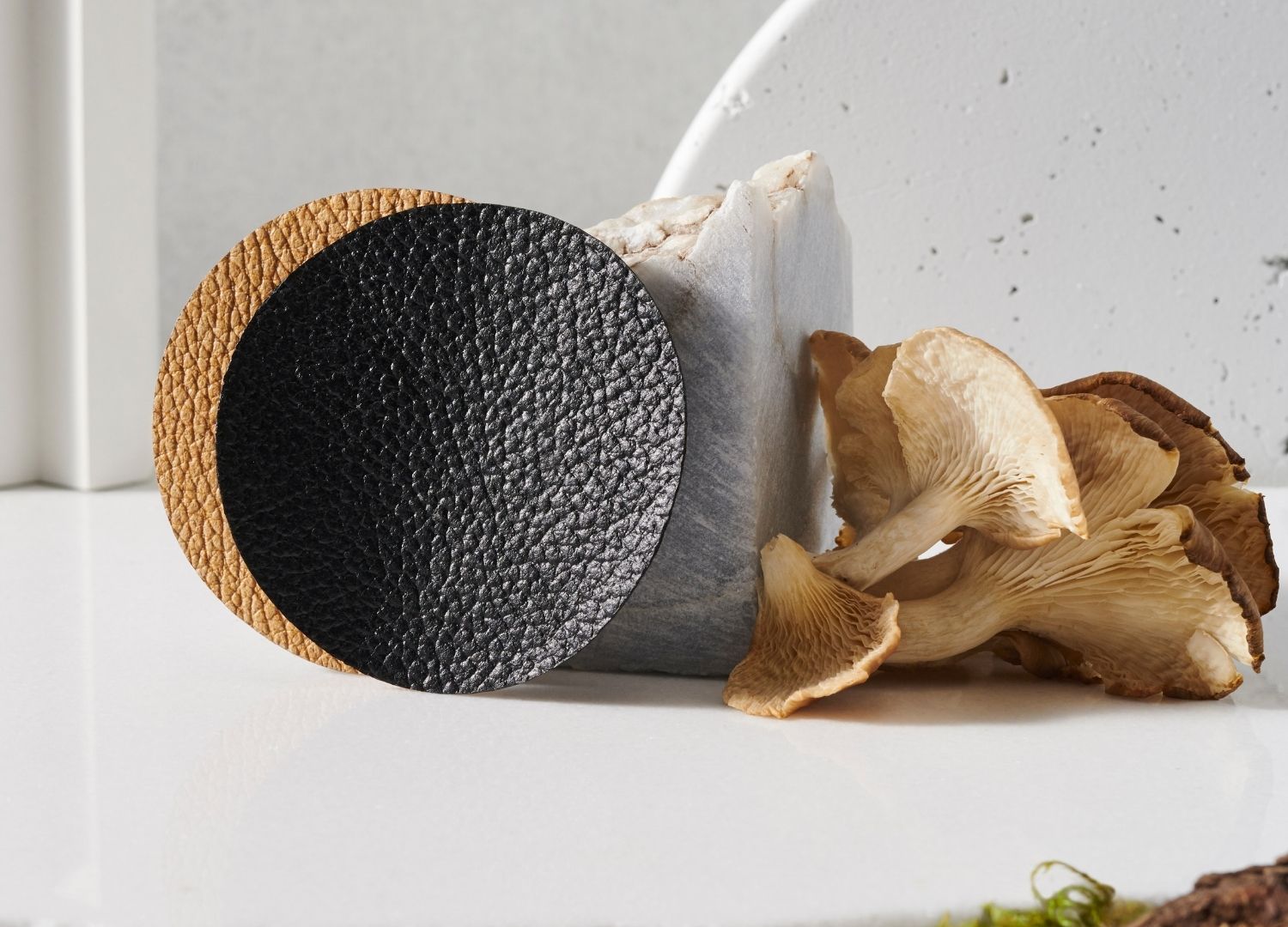 Ngành thời trang làm đồ da từ… nấm Ngành thời trang làm đồ da từ… nấm