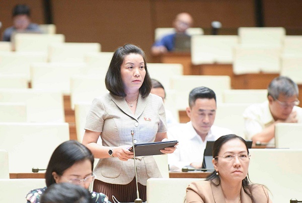 Đại biểu Quốc hội “bức xúc” vì dây cáp viễn thông “chằng chịt”