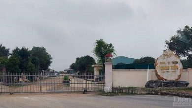 Lộ nhiều sai phạm tại nhà máy chế biến bột đá ở Nghệ An