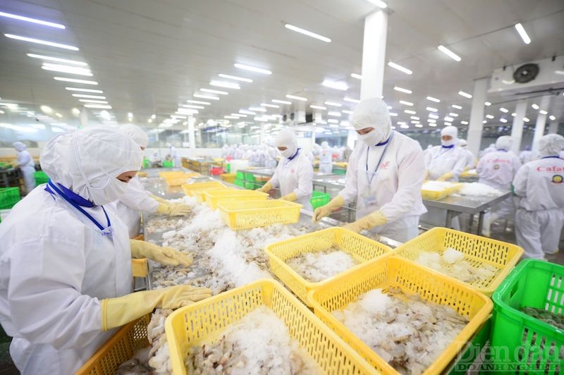 Lâm thuỷ sản “trượt dốc”, xuất khẩu trông chờ vào rau quả Lâm thuỷ sản “trượt dốc”, xuất khẩu trông chờ vào rau quả