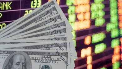 Thị trường chứng khoán: "Xếp hàng bắt đáy" Thị trường chứng khoán: "Xếp hàng bắt đáy"