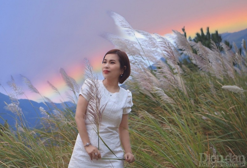 Mùa thu về Bình Liêu ngắm từng vạt hoa lau nở trắng đồi Mùa thu về Bình Liêu ngắm từng vạt hoa lau nở trắng đồi