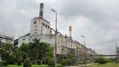 Hải Dương: Đề nghị xem xét việc áp dụng hình phạt bổ sung với Nhiệt điện Phả Lại