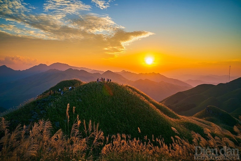 Mùa thu về Bình Liêu ngắm từng vạt hoa lau nở trắng đồi Mùa thu về Bình Liêu ngắm từng vạt hoa lau nở trắng đồi