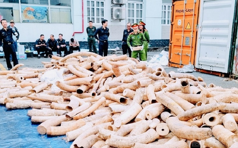 Không được lơ là, chủ quan với các hoạt động gian lận thương mại