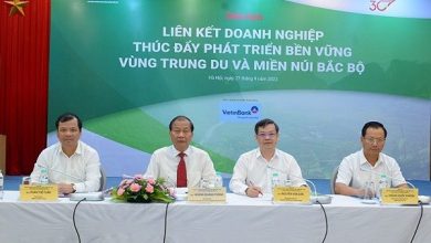 Đột phá nhằm phát huy tiềm năng, lợi thế vùng Trung du và miền núi Bắc Bộ Đột phá nhằm phát huy tiềm năng, lợi thế vùng Trung du và miền núi Bắc Bộ