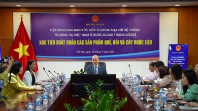 Thúc đẩy phát triển sản xuất và xuất khẩu các sản phẩm quế, hồi và cây dược liệu Thúc đẩy phát triển sản xuất và xuất khẩu các sản phẩm quế, hồi và cây dược liệu