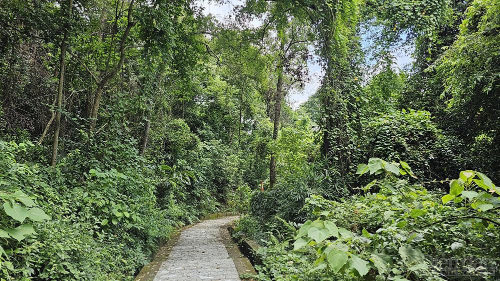 Thanh Mai thiền tự - Chùa cổ núi thiêng Thanh Mai thiền tự - Chùa cổ núi thiêng