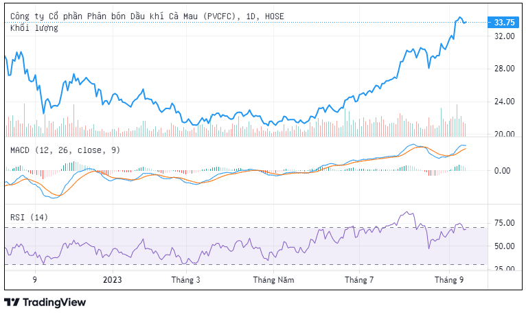 Lợi nhuận của DCM sẽ phục hồi nhờ thiếu hụt nguồn cung? Lợi nhuận của DCM sẽ phục hồi nhờ thiếu hụt nguồn cung?