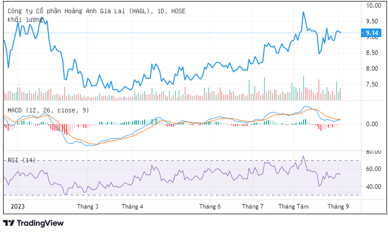 Lỗ lũy kế gần 3.000 tỷ đồng, cổ phiếu HAG tiếp tục bị cảnh báo Lỗ lũy kế gần 3.000 tỷ đồng, cổ phiếu HAG tiếp tục bị cảnh báo