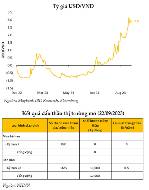 Lo ngại về động thái hút tiền của NHNN đang lớn hơn thực tế