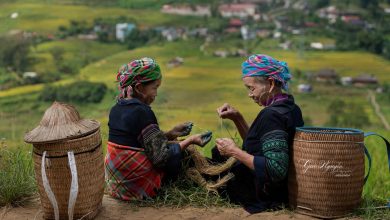 Sa Pa - phát triển du lịch chưa xứng với tiềm năng Sa Pa - phát triển du lịch chưa xứng với tiềm năng