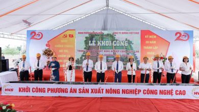 Khởi công dự án nông nghiệp công nghệ cao tại quận Long Biên