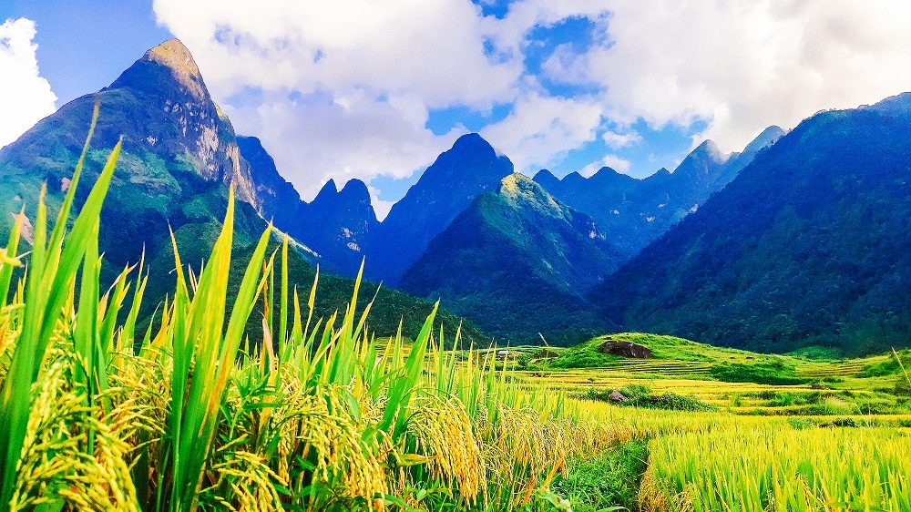 Mùa vàng Lai Châu