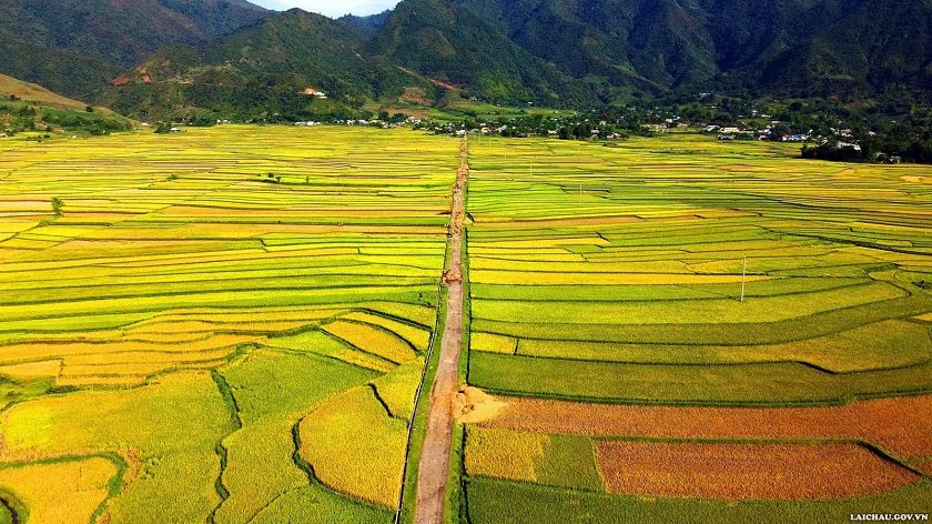 Mùa vàng Lai Châu