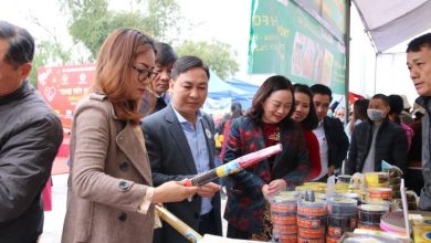 CEO Sunrice Nguyễn Thị Ngọc Linh: “VCCI luôn đồng hành cùng chúng tôi trên chặng đường phát triển”