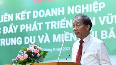 LIÊN KẾT DOANH NGHIỆP VÙNG TRUNG DU VÀ MIỀN NÚI BẮC BỘ: “Đất lành, chim đậu” LIÊN KẾT DOANH NGHIỆP VÙNG TRUNG DU VÀ MIỀN NÚI BẮC BỘ: “Đất lành, chim đậu”