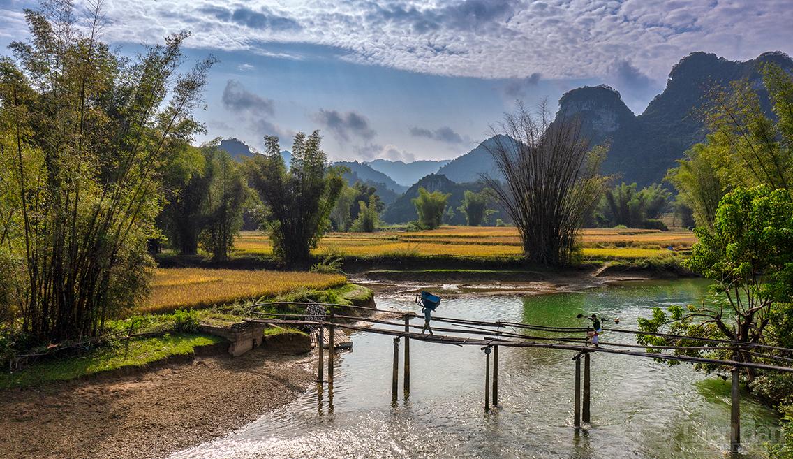 Mãn nhãn ngắm Cao Bằng mùa lúa chín Mãn nhãn ngắm Cao Bằng mùa lúa chín