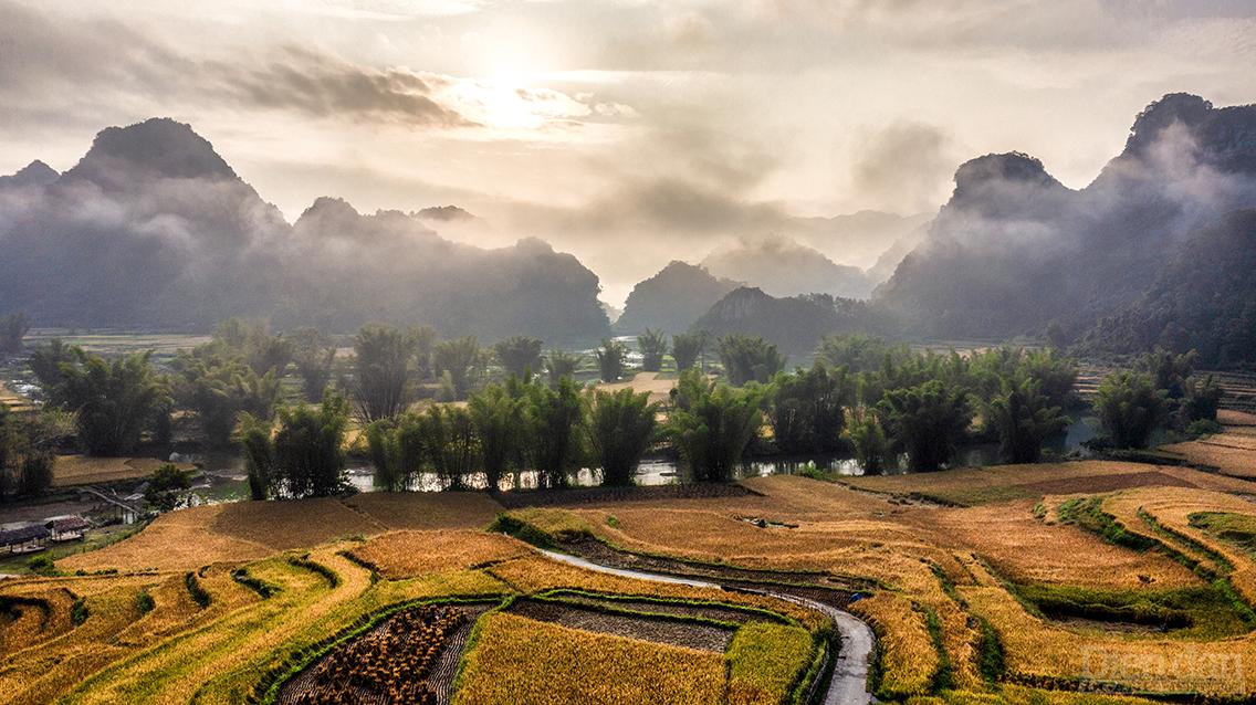 Mãn nhãn ngắm Cao Bằng mùa lúa chín