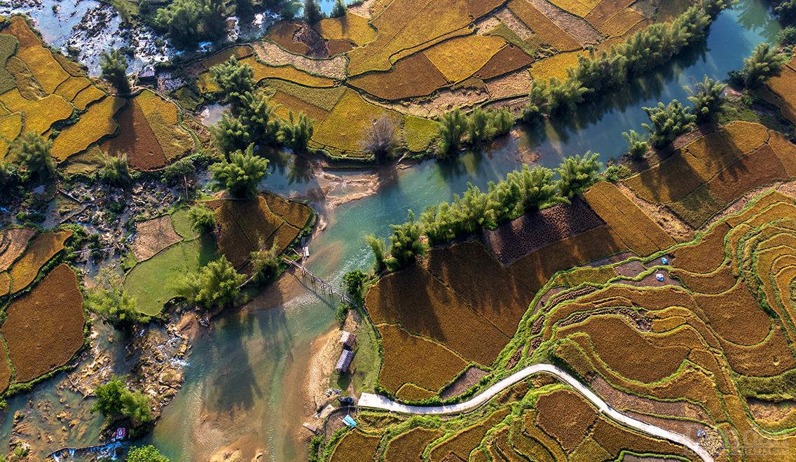 Mãn nhãn ngắm Cao Bằng mùa lúa chín