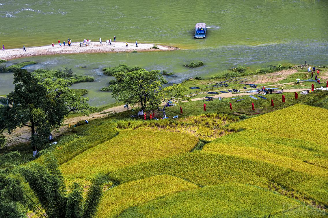 Mãn nhãn ngắm Cao Bằng mùa lúa chín