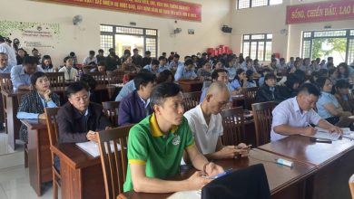 Chương trình chuyển đổi số tại Tây Nguyên Chương trình chuyển đổi số tại Tây Nguyên