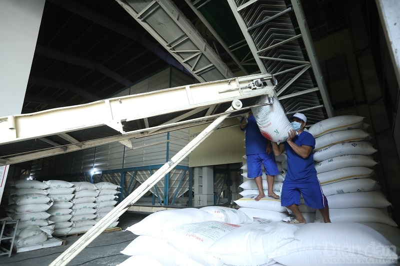 Quy định về ủy thác xuất khẩu gạo nguy cơ hạn chế cơ hội của các doanh nghiệp nhỏ