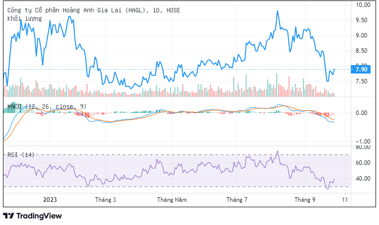 HAG “xoay” tiền trả nợ trái phiếu từ đâu? HAG “xoay” tiền trả nợ trái phiếu từ đâu?
