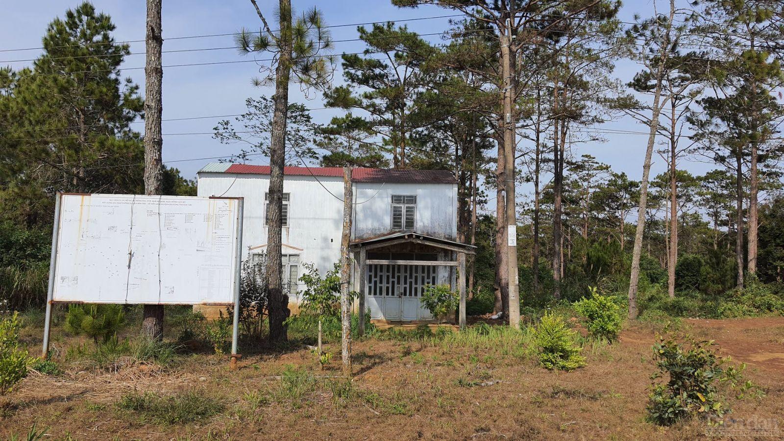 Sẽ khởi tố dự án làm mất rừng?