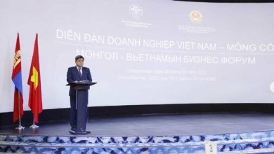 Diễn đàn doanh nghiệp Việt Nam - Mông cổ 02/11/2023 Diễn đàn doanh nghiệp Việt Nam - Mông cổ 02/11/2023