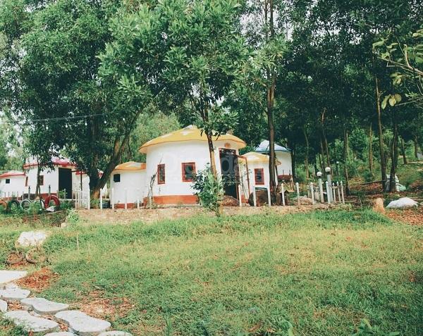 “Xẻ thịt” đất rừng, kinh doanh “trái phép”: Bài 2 – Vì sao khó xử lý vi phạm? “Xẻ thịt” đất rừng, kinh doanh “trái phép”: Bài 2 – Vì sao khó xử lý vi phạm?