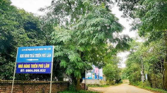 “Xẻ thịt” đất rừng, kinh doanh “trái phép”: Bài 3 – “Lộ” hàng loạt bất cập “Xẻ thịt” đất rừng, kinh doanh “trái phép”: Bài 3 – “Lộ” hàng loạt bất cập