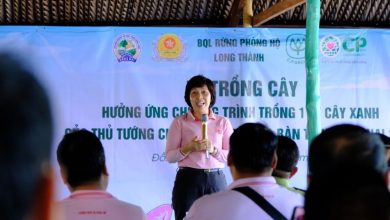 C.P. Việt Nam trồng 3.2 hecta rừng ngập mặn tại tỉnh Đồng Nai năm 2023 C.P. Việt Nam trồng 3.2 hecta rừng ngập mặn tại tỉnh Đồng Nai năm 2023