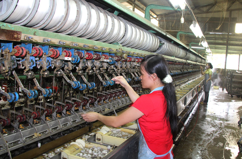 Trăn trở vùng nguyên liệu tơ tằm