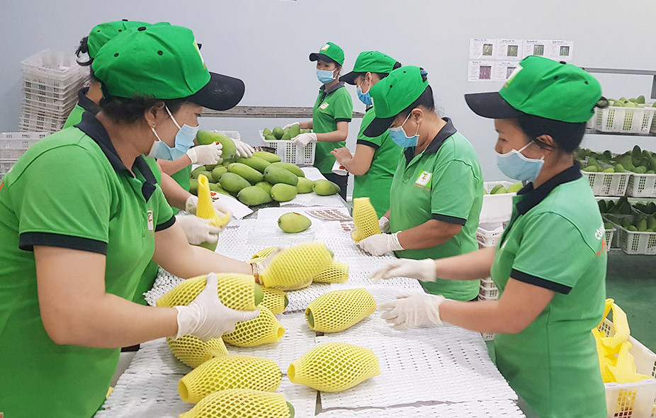 Nhiều dư địa cho xuất khẩu nông sản khởi sắc hơn Nhiều dư địa cho xuất khẩu nông sản khởi sắc hơn